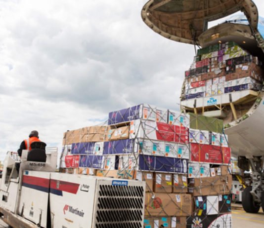 Le volume du trafic de fret au Cameroun devrait atteindre 2 millions de tonnes en 2018