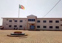 La DGD offre un siège de 720 millions de FCFA au Secteur Douanes de l’Adamaoua