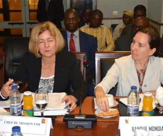 Le cas Camair-Co, au menu de la 4e revue du Programme économique et financier du Cameroun par le FMI