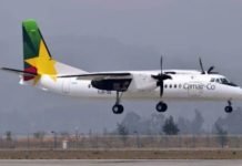 19 compagnies aériennes reçoivent le feu vert pour assurer la desserte Cameroun pendant l’été 2019
