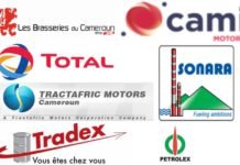 Cameroun : Cami, Tractafric, Tradex, Total, SABC et Pétrolex parmi les plus grands pourvoyeurs de recettes douanières