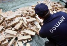 Cameroun : En six mois, l’opération HALCOMI 3 a collecté plus de 900 millions d’amendes