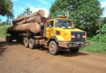 Cameroun : Pour protéger son patrimoine routier de la dégradation, le gouvernement durcit sa législation sur la circulation des camions grumiers