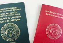 Le passeport camerounais perd cinq places dans le classement des passeports les plus puissants du monde en 2020