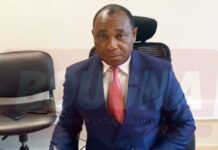 Cameroun : Suite au décès de Jusué YOUMBA, l’APN choisit Simon Pierre EDIBA pour assurer l’intérim à la Direction Générale