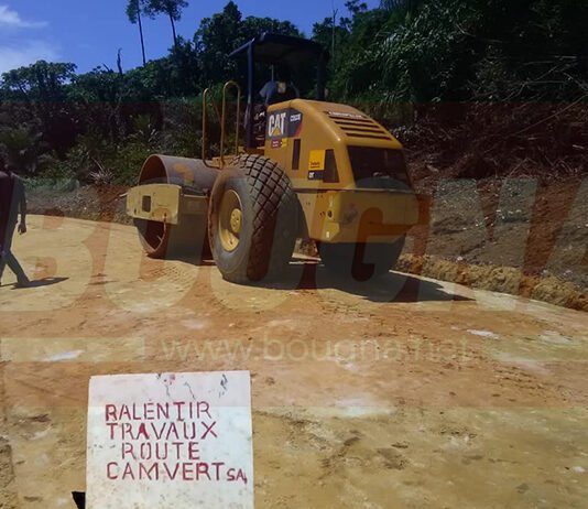 Kribi-Campo : Une journée de voyage sur « la route du développement » de CAMVERT