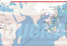 L’ouverture de nouvelles lignes maritimes au PAK contribue à faire passer le nombre d’escales de 94 au T1 2020 à 120 au T1 2021
