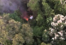 Cameroun-urgent : 11 morts dans le crash d’un avion de transport des ouvriers de COTCO