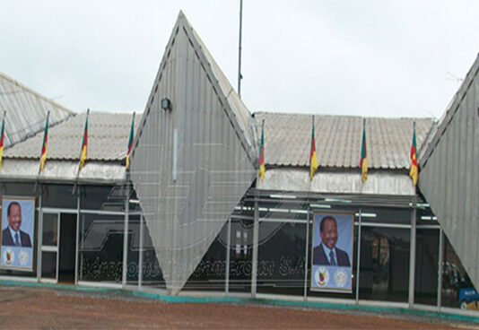 ADC va investir 150 millions pour reprofiler la piste d’atterrissage en terre de l’aéroport de Bertoua