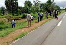 Au Cameroun, le cantonnage sur les routes nationales sera désormais assuré par les délégués régionaux
