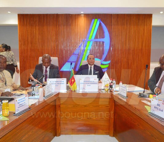 L’agence de notation financière panafricaine Bloomfield Investment Co. Attribue un A au Port Autonome de Douala (Communiqué)