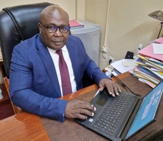 Patrick TCHOUWA : « La pose de la première pierre du projet Nabeba-Mbalam interviendra au 4e trimestre 2023 »