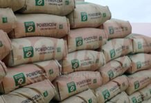 Au Cameroun, le cimentier Cimpor débute la commercialisation des premiers sacs sortis de son usine à Kribi