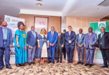 Hydrocarbures : La SCDP clôture l’année 2023 avec un chiffre d’affaires de 25,691 milliards de FCFA (+5,1%)