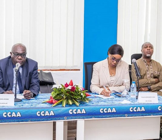 Sécurité aérienne : La CEMAC va harmoniser ses règlements pour s’arrimer aux standards internationaux