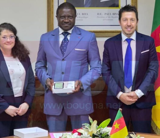 Le belge PEEPS Engineering livre le projet de digitalisation de la maintenance de la voie ferrée Douala-Yaoundé