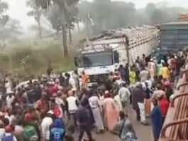 Grève des camionneurs à Meiganga : LA FOSAT dénonce une récupération politique