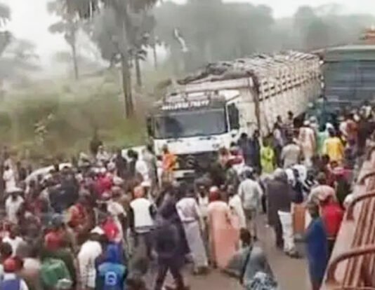 Grève des camionneurs à Meiganga : LA FOSAT dénonce une récupération politique