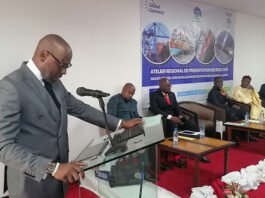 Pratiques anormales : L’OPA-AC veut transformer les ports de Douala et Kribi en hubs performants et compétitifs