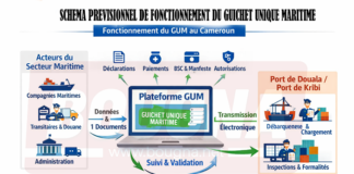 Commerce extérieur : Le Cameroun veut se doter d’un Guichet unique maritime